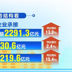 14043亿元 11.1 透过亮眼数据看我国企业承接服务外包 成绩单