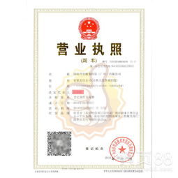 上海