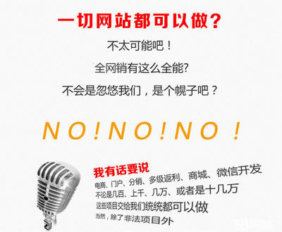 专业企业网站制作、手机网站【承接全国建站业务】